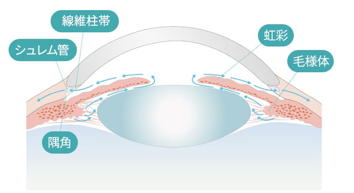 緑内障画像1